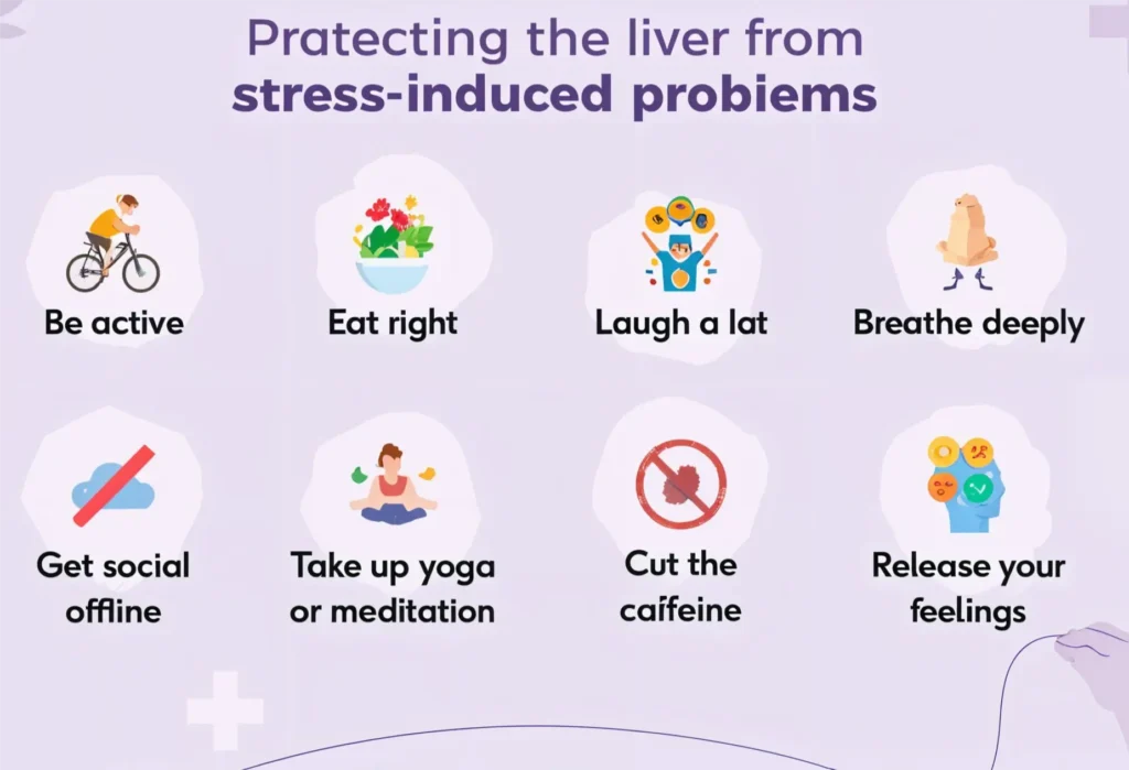 Can Stress Affect the Liver