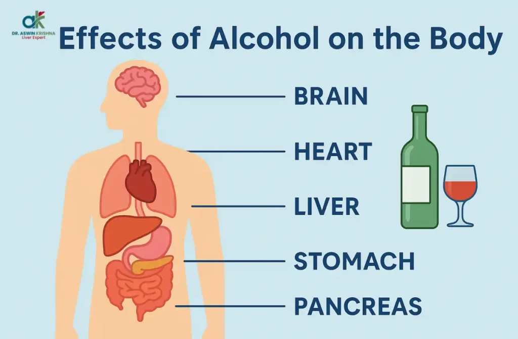 How Alcohol Affects Your Liver